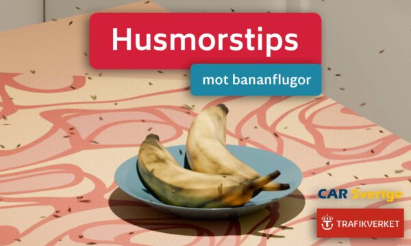 Husmorstips mot bananflugor